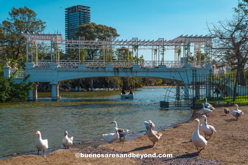 El Rosedal Park - things to do in Buenos Aires, Argentina