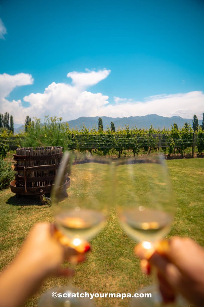 clinking glasses of wine in Mendoza - best month to visit Buenos Aires