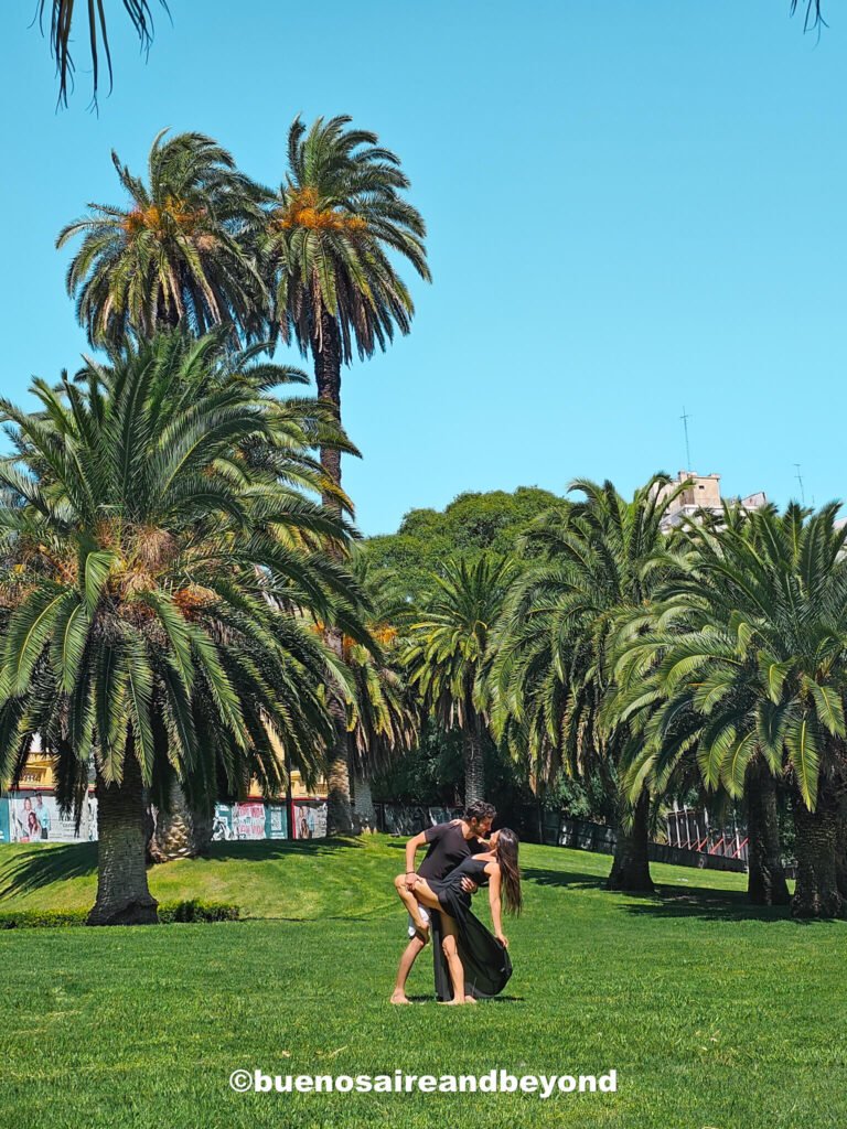 Palm trees in Recolate