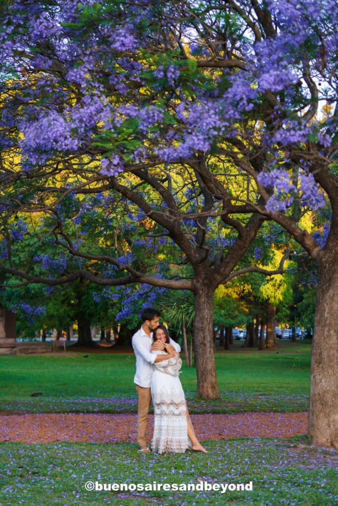 purple flowers in Palermo