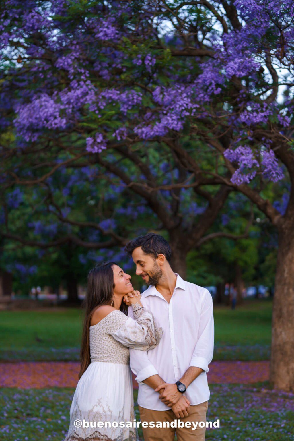 Jacarandas in Buenos Aires