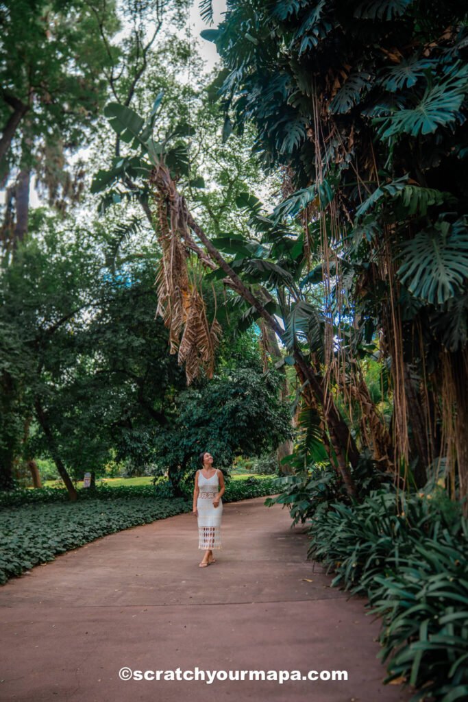 Buenos Aires Botanical Gardens - best parks in Buenos Aires