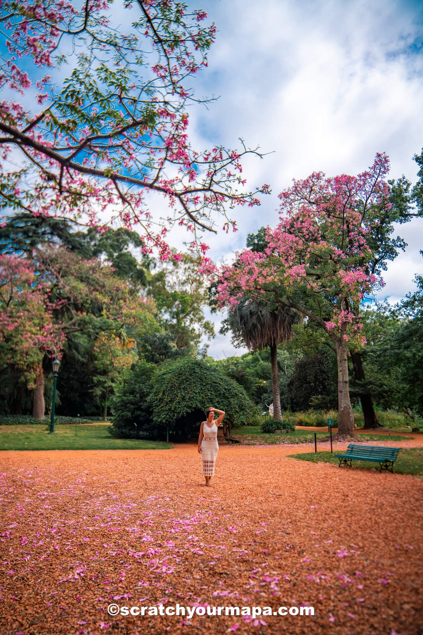 tunnel of benches - Buenos Aires Botanical Gardens