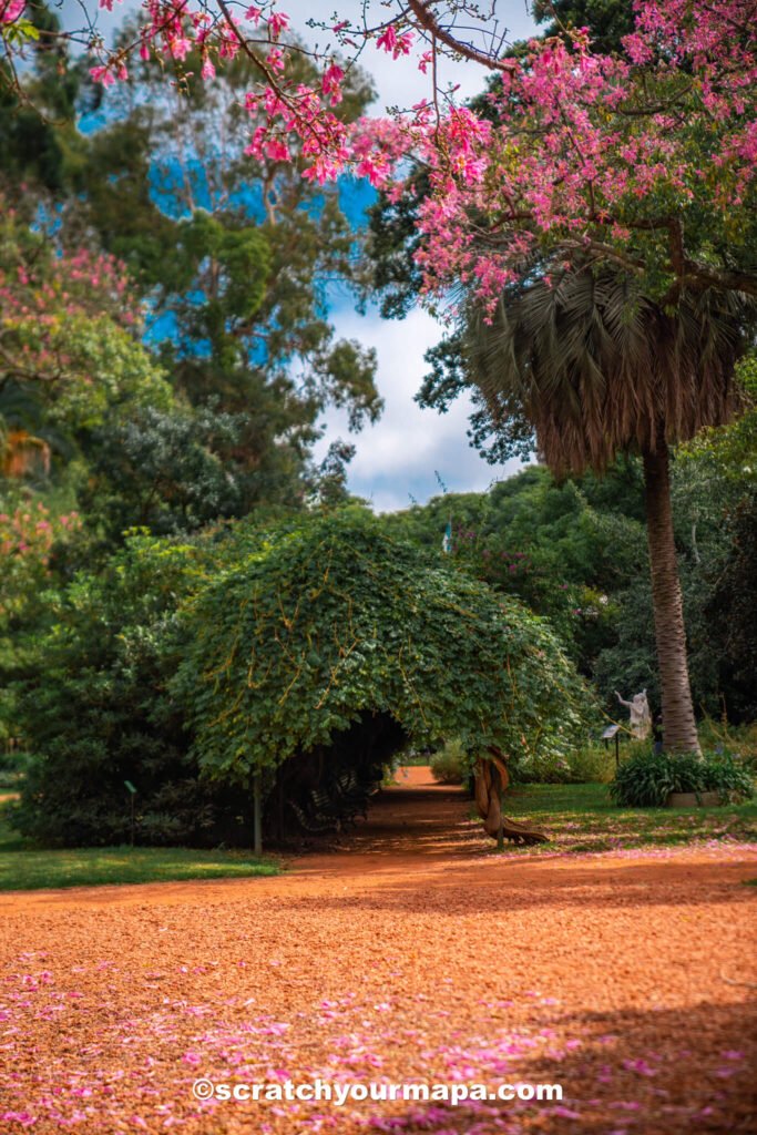 tunnel of benches - Buenos Aires Botanical Gardens