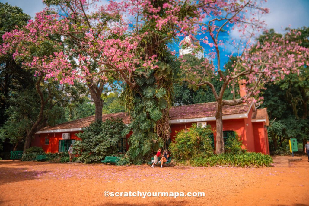 Buenos Aires botanical gardens