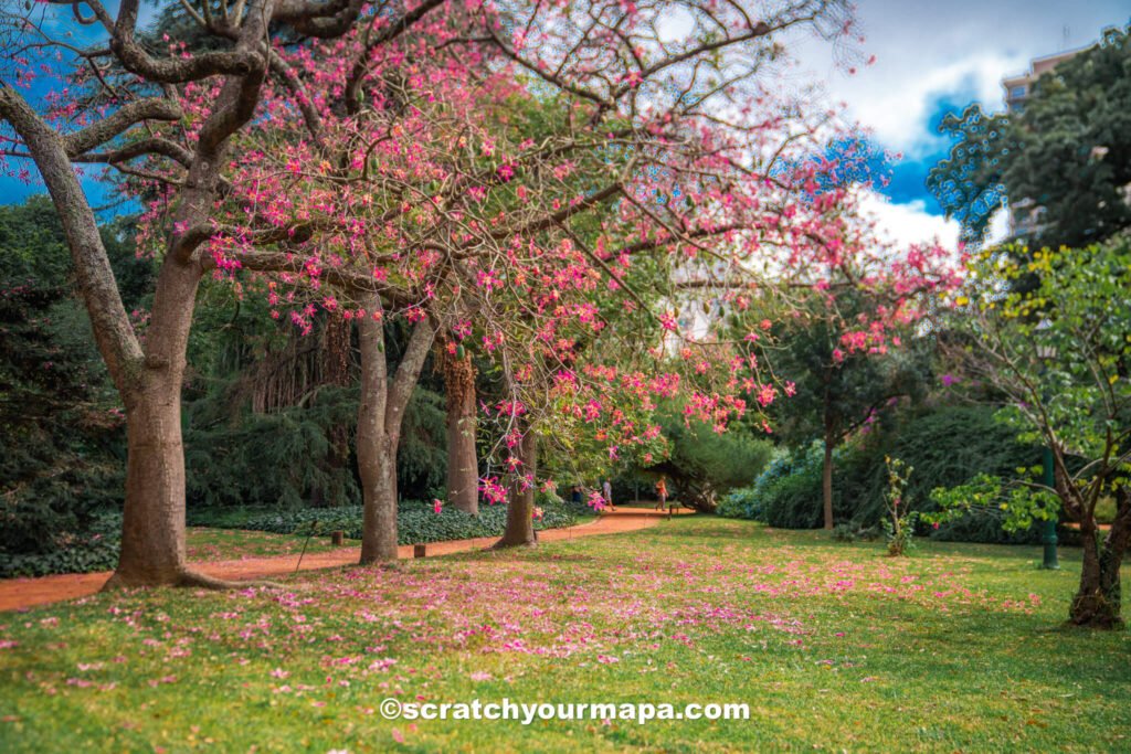 Buenos Aires in April