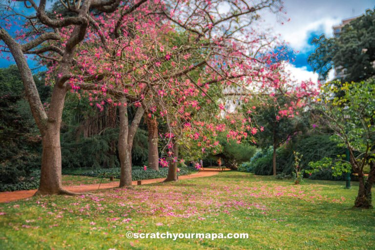 Buenos Aires in April