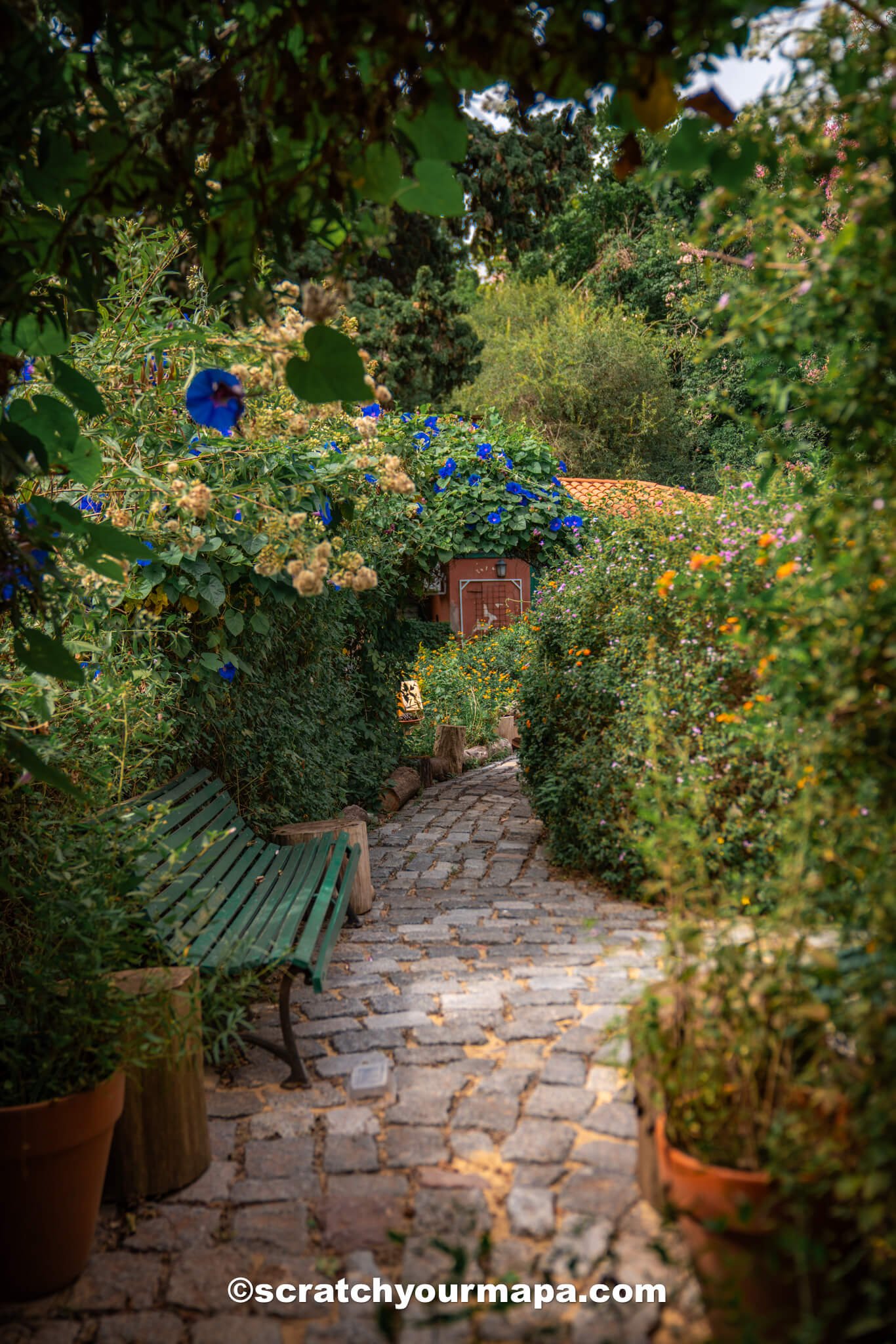 butterfly garden at Buenos Aires botanical gardens