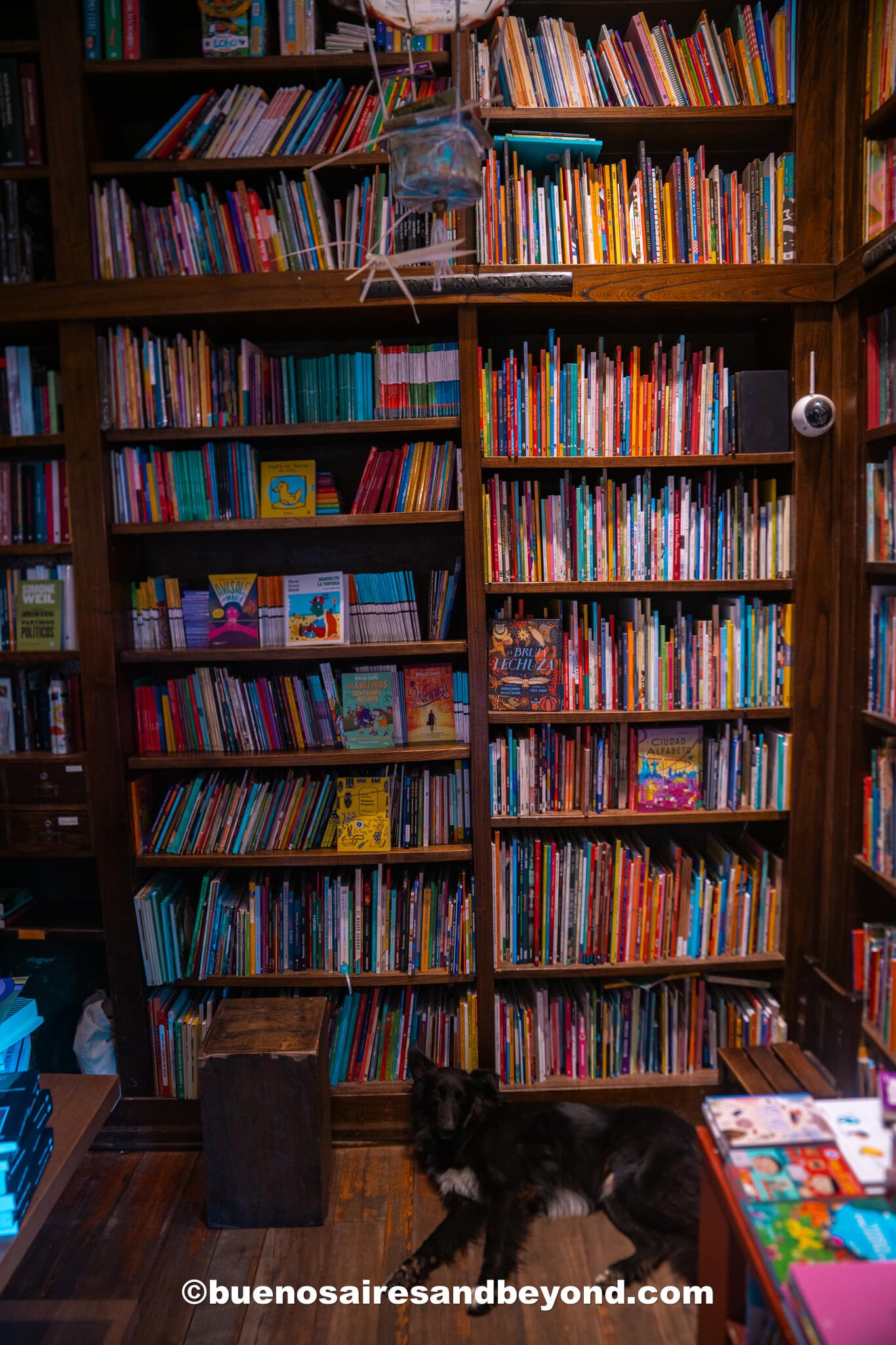 book shop in Buenos Aires