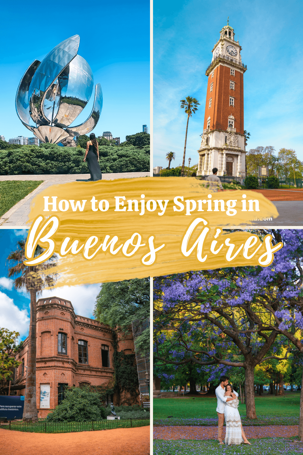 Spring in Buenos Aires pin