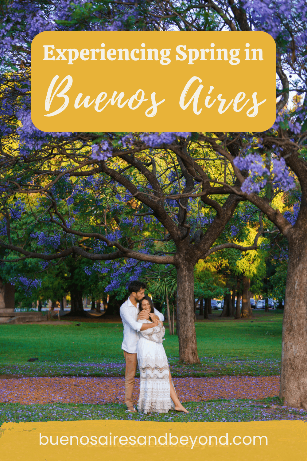 Spring in Buenos Aires pin