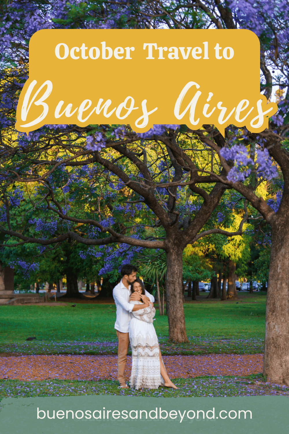 Buenos Aires in October pin