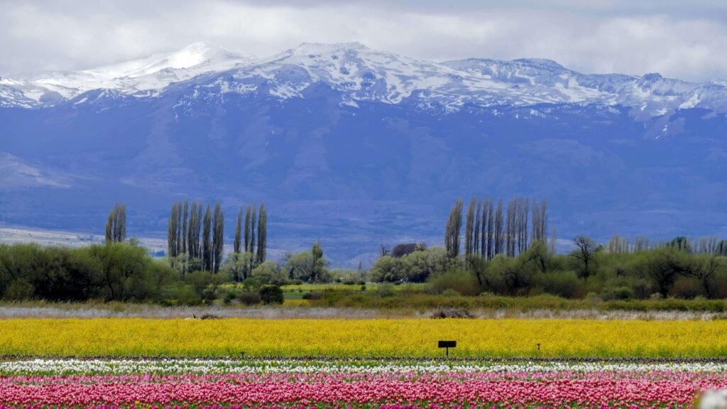Trevelin Argentina in October